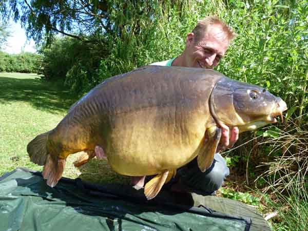 Nifty Fifty falls to the B5 yet again!!