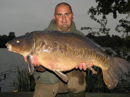 Consistent carping.