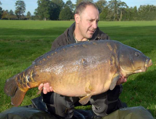 85lb of carp in 5 mins!