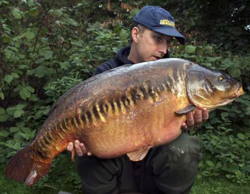 Croptail Linear falls for Finan!