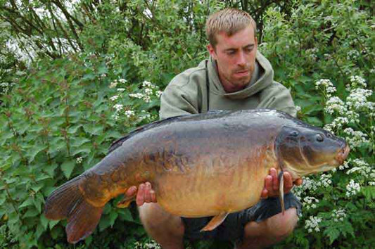 Stoneacre stunners!