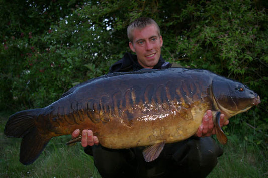 Stunning Linear!