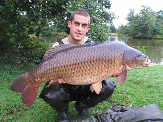 Lee banks new pb common!