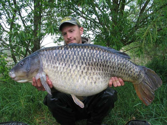 Cracking common!