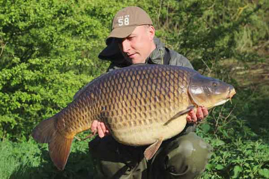 Another big common succumbs to the Black Snail!