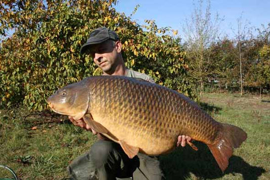 Another massive common for Matt!!