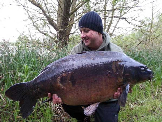 Linch Hill Stunner!