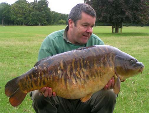 Big Fully Scaled