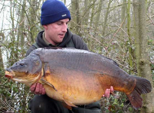 Essential Exclusive Stunning Big Fish Trio!