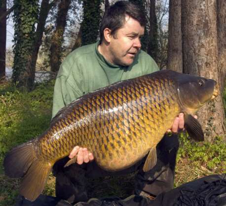 Lakes First 40+ Common