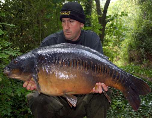 Massive Linear! – Essential Baits