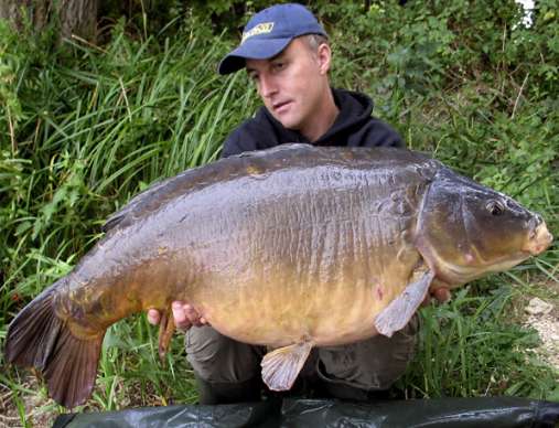Yet more B5 success