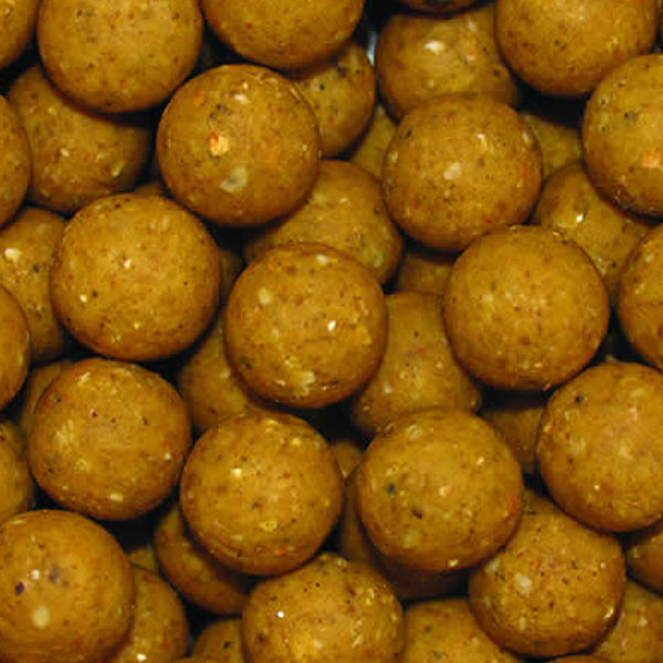 GS10 Garlic & Salted Cream (short preserved)