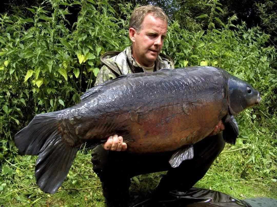Welcome to Essential Baits