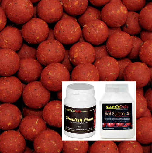 Shellfish B5 Hard Hookbait Pack