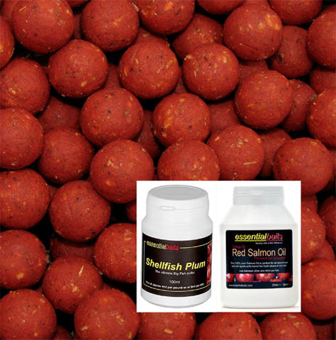 Shellfish B5 Hard Hookbait Pack
